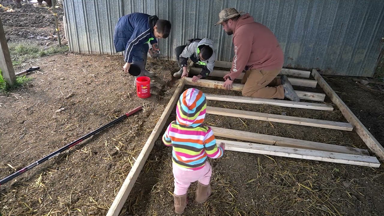 We built a farrowing pen