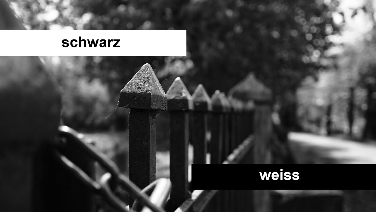 Mein Fototag in schwarz/weiss - Mit der Olympus OM-D E-M10 MIII