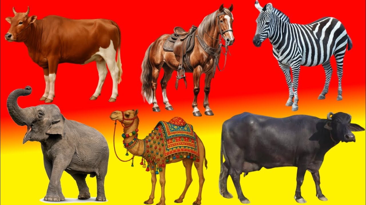 Animals Names For Kids | cartoon animated videos | kids animation song animal name with sound #जानवर