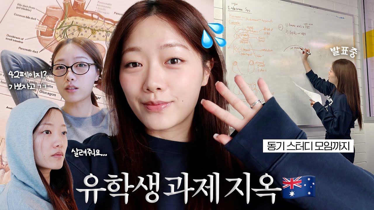 유학생 지옥의 과제주간 브이로그 | 스터디 자료준비&발표 | 호주 간호 유학 | 일상 브이로그