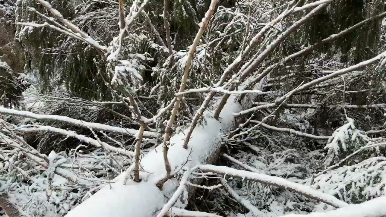 Sutipakka 10.1.2026