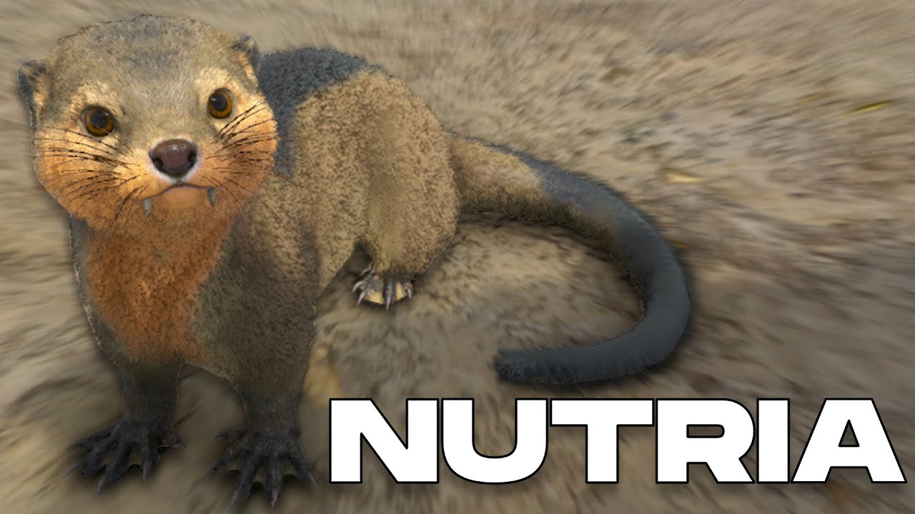 6 MANERAS DE TAMEAR NUTRIA y TODAS SUS HABILIDADES (PC, PS y XBOX) - ARK