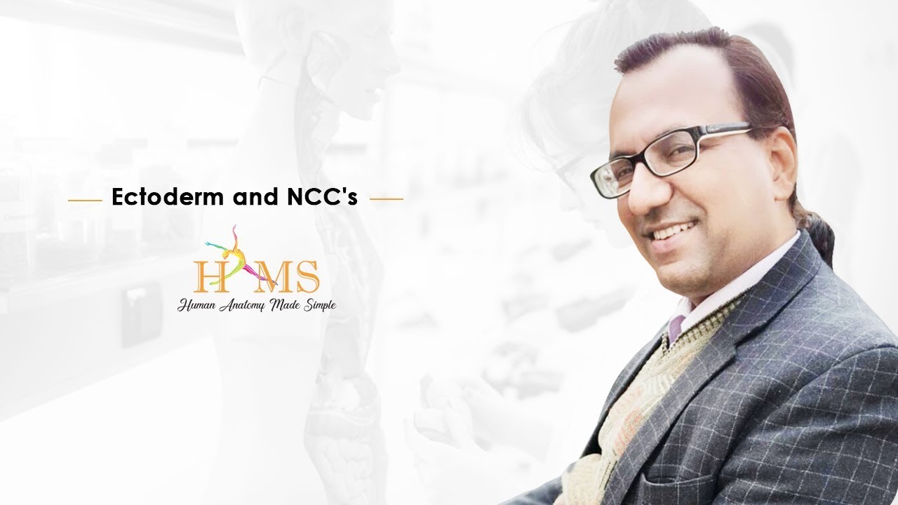 Dr. Rajesh Kaushal Discusses Ectoderm and NCCs derivatives