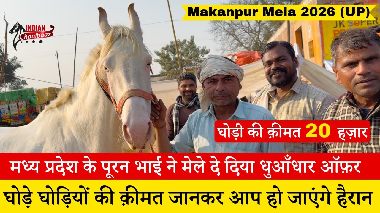 मध्य प्रदेश के पूरन भाई ने मेले दे दिया धुआँधार ऑफ़र घोड़ी मिलेगी 20 हज़ार में Makanpur Mela 2026