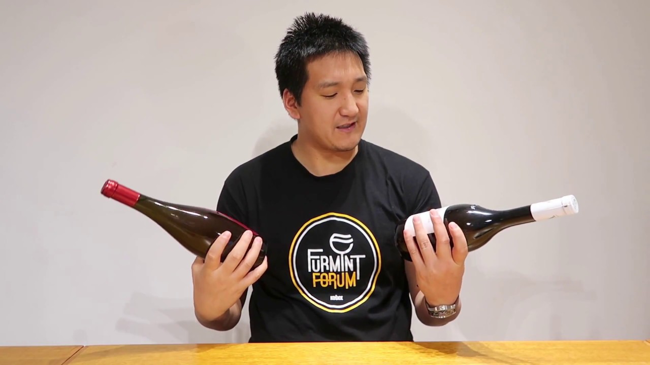Slovak Wine: Thoughts On Slovak Tokaj