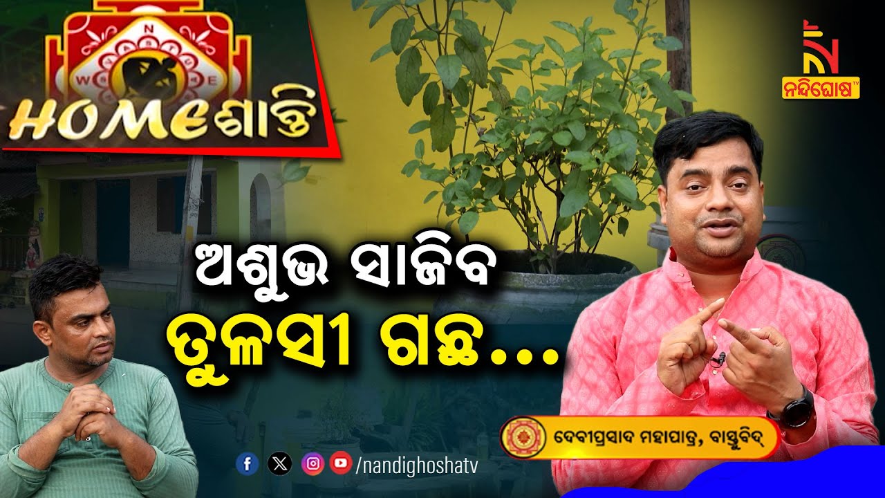 ଏପରି ତୁଳସୀ ଗଛ ରହିଲେ ଘରର ହେବ ସର୍ବନାଶ ..l Homeଶାନ୍ତି | Vastu Shastra | Vastu Tips | NandighoshaTV