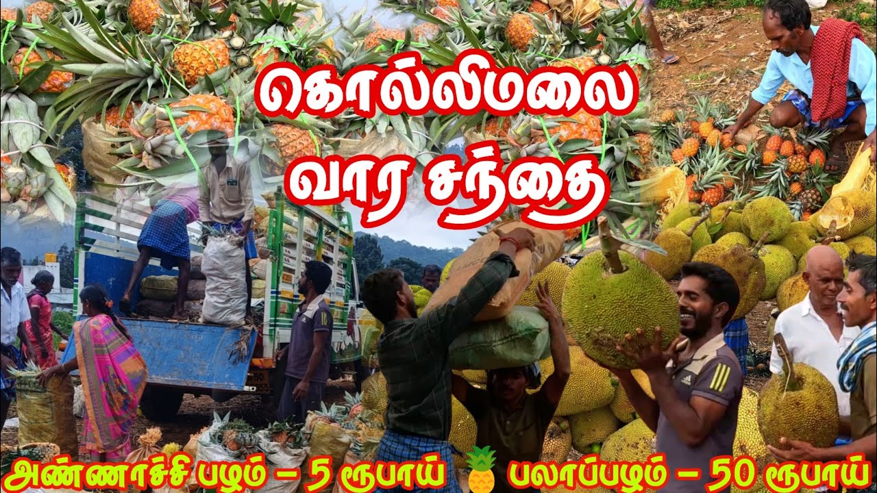 குறைந்த விலைக்கு ஏலம் 🍍 அண்ணாச்சி பழம் 5 ரூபாய் 🍍பலாப்பழம் 50 ரூபாய் / கொல்லிமலை வார சந்தை 