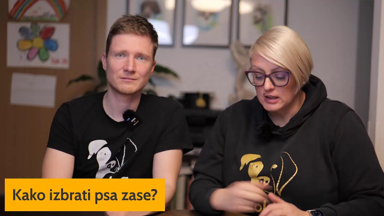 Kako izbrati psa zase?