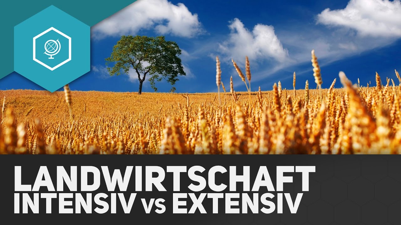 Intensive und Extensive Landwirtschaft - Landwirtschaft in Industrie- & Entwicklungsländern 2