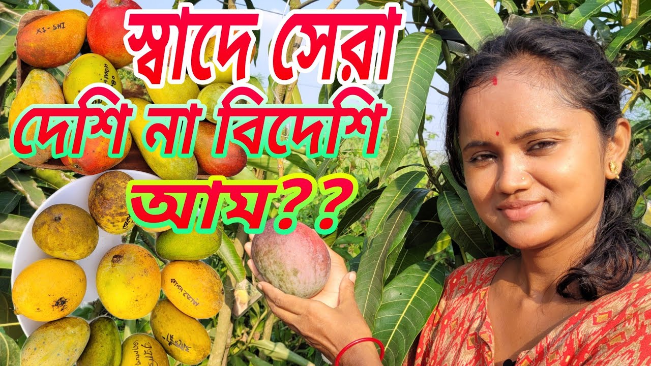 বিশ্বের সেরা আম গুলির স্বাদ কেমন আজ আপনাদের জানাবো।
