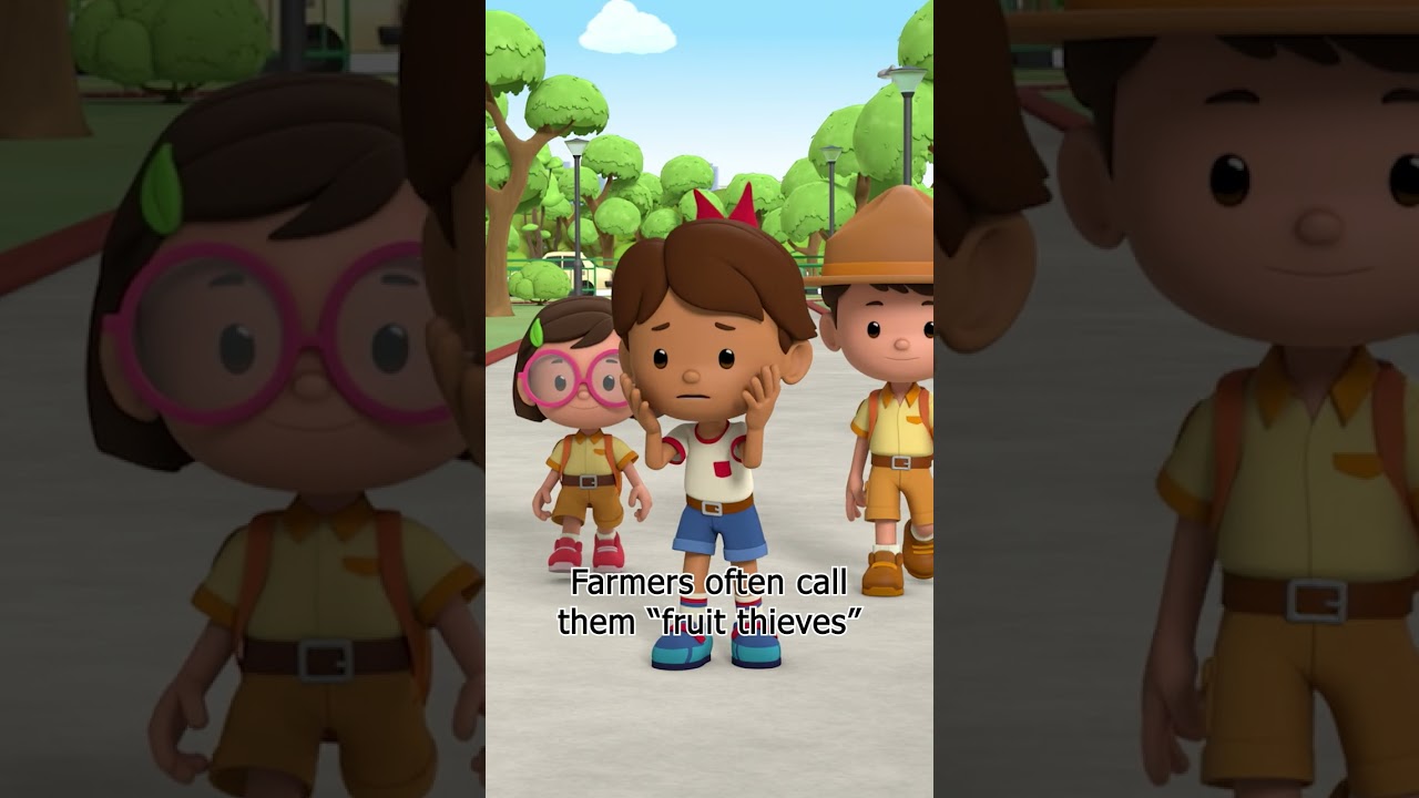 Have you seen these Squirrels in your Backyard? 🐿️ | Leo the Wildlife Ranger | 