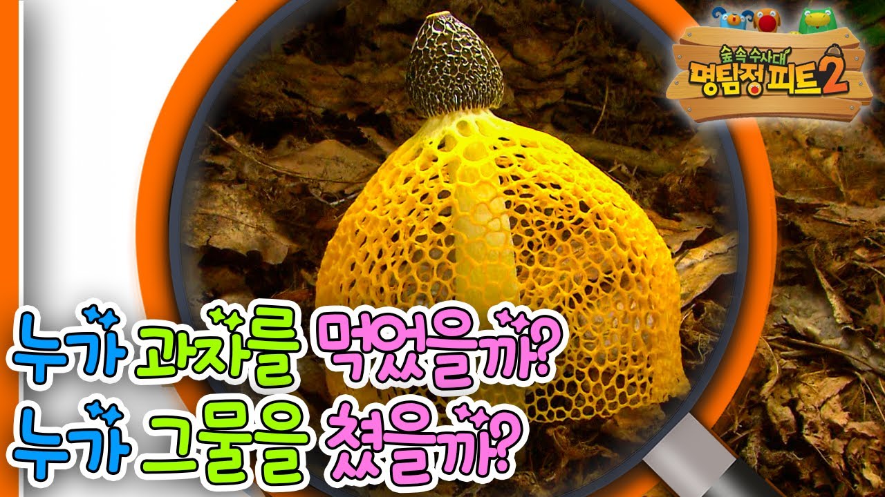 [EBS놀이터] 명탐정 피트2🔎｜누가 과자를 먹었을까?｜누가 그물을 쳤을까?｜숲 속 수사대｜동물｜식물｜곤충｜애니메이션