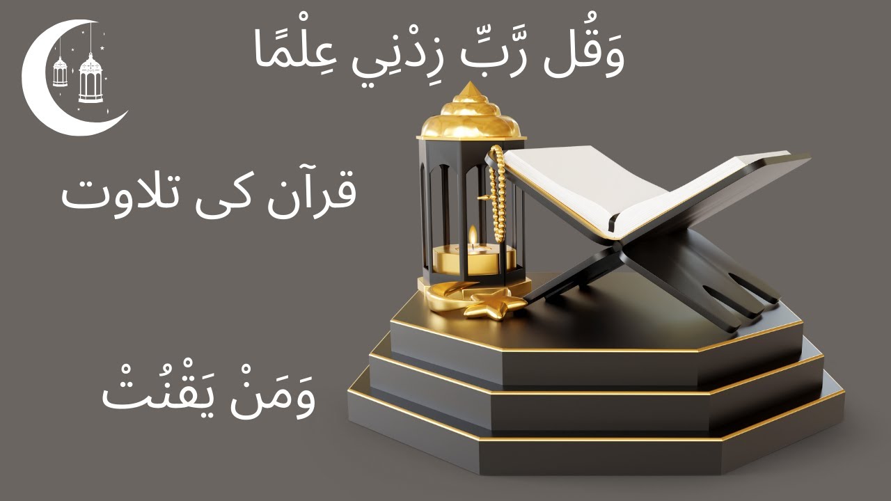 Complete Quran Series With Juzz Wise || Juzz 22  || وَمَنْ يَقْنُتْ