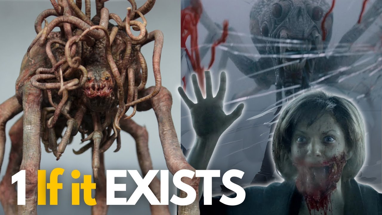 What Are the MONSTERS From 'THE MIST'? 💀 | What Is Their ORIGIN and What Makes Them SO DANGEROUS? ☢