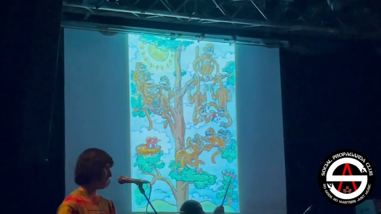 Jeffrey Lewis  - Cannibal Monkeys (Live at dB's in Utrecht, Netherlands, 4 May 2025)