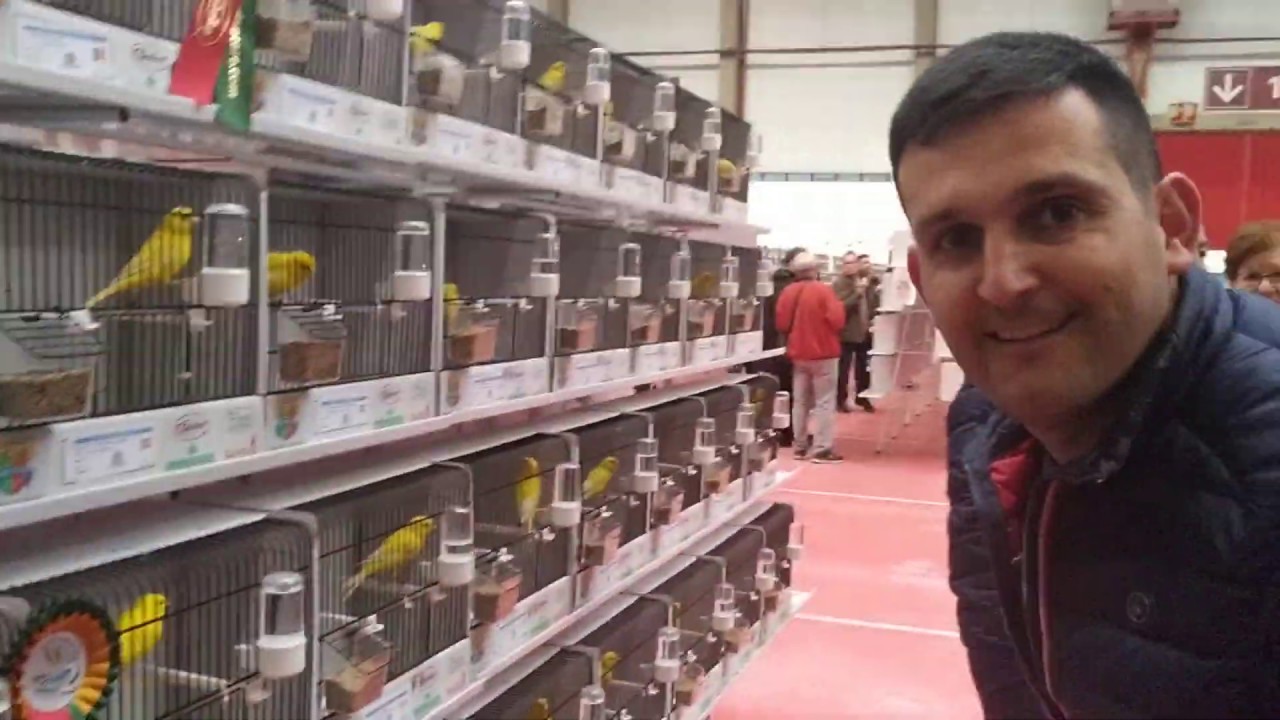 CAMPEONES DEL MUNDO LIPOCROMO MATOSINHOS 2020