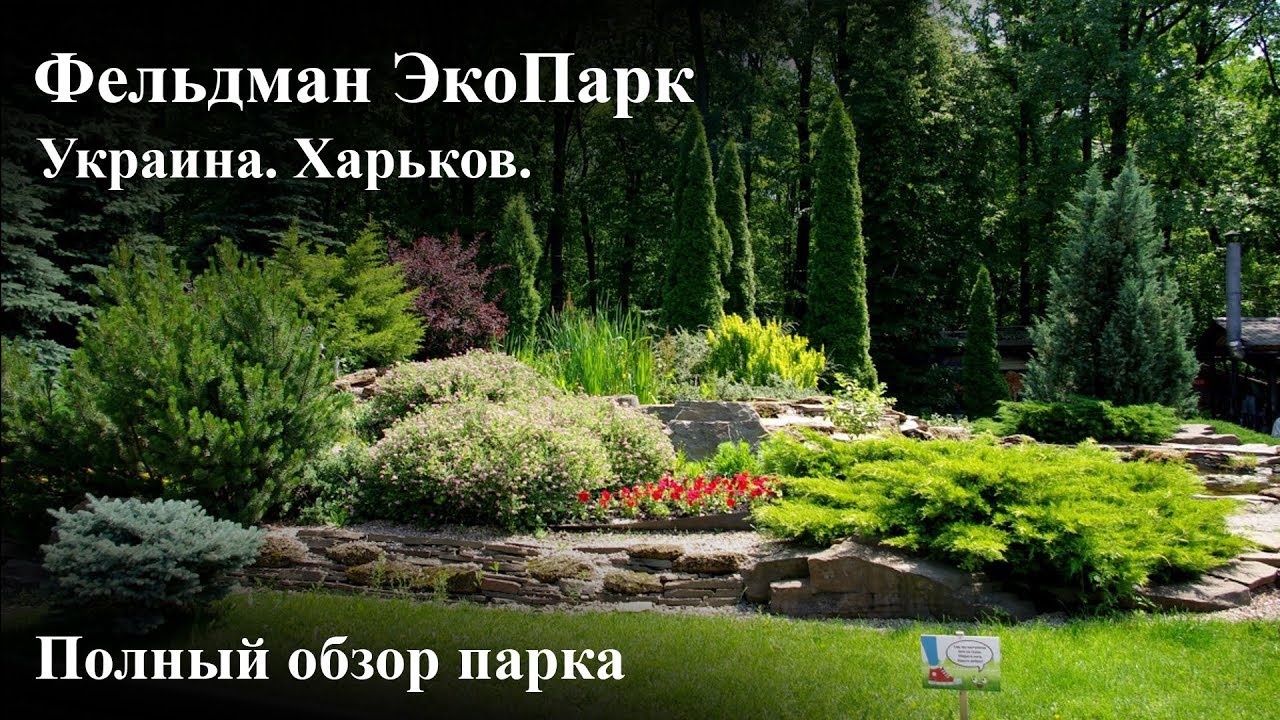 Фельдман Экопарк. Обзор зоопарка в Харькове.