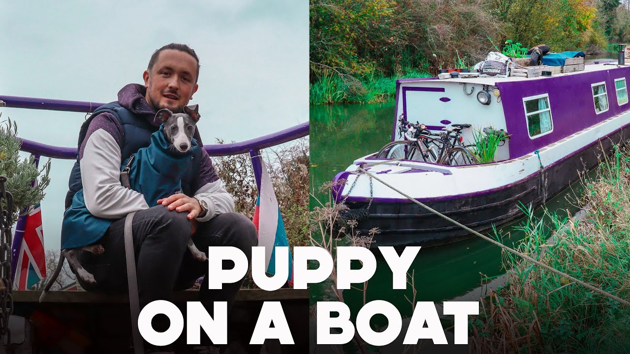 Are We Getting a Narrowboat Dog? Ep.35