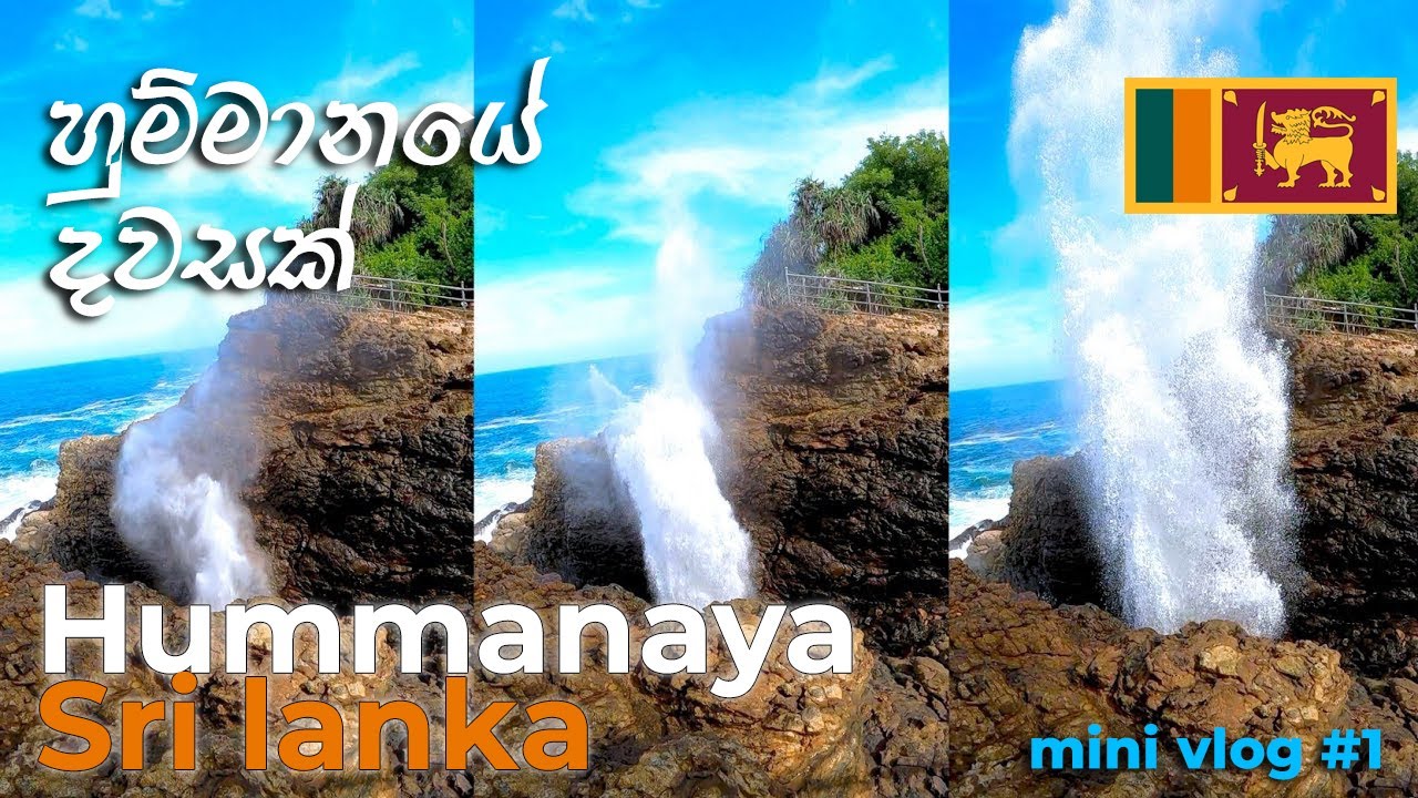 හුම්මානයේ දවසක් 😍😍😍  Hummanaya  Blow hole -Sri lanka