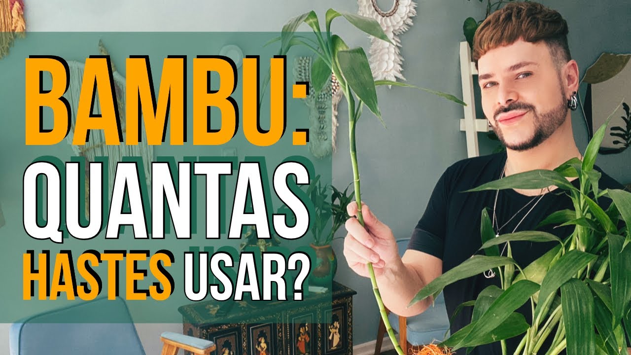 COMO USAR O BAMBU DA SORTE PARA ATRAIR MAIS PROSPERIDADE E BOA SORTE? /  LUIZ NETTO