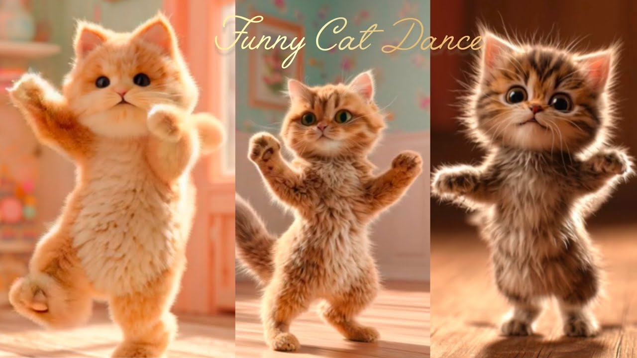 Beautiful Cat Dance Video💃🤣 Funny Animal Dance Video | Cat Videos For Cats To Watch #catdance 