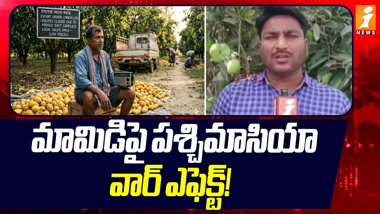 మామిడిపై పశ్చిమాసియా వార్ ఎఫెక్ట్! | West Asia War Effect on Mangoes Farmers | iNews