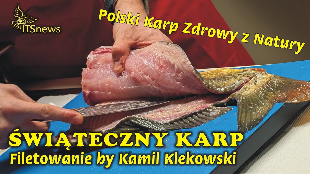 Świąteczny Karp. Filetowanie Karpia by Kamil Klekowski. Polski Karp Zdrowy z Natury.