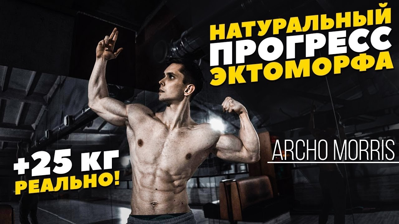 Сколько может набрать ЭКТОМОРФ НАТУРАЛЬНО? (Archo Morris)
