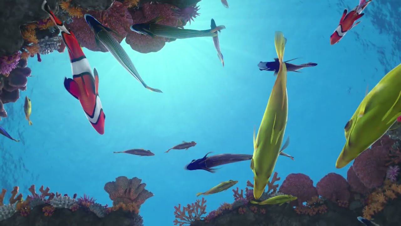 Tropical Fish Aquarium Ambience – Coral Reef Underwater Relaxing Background (15 Minutes, 4K)