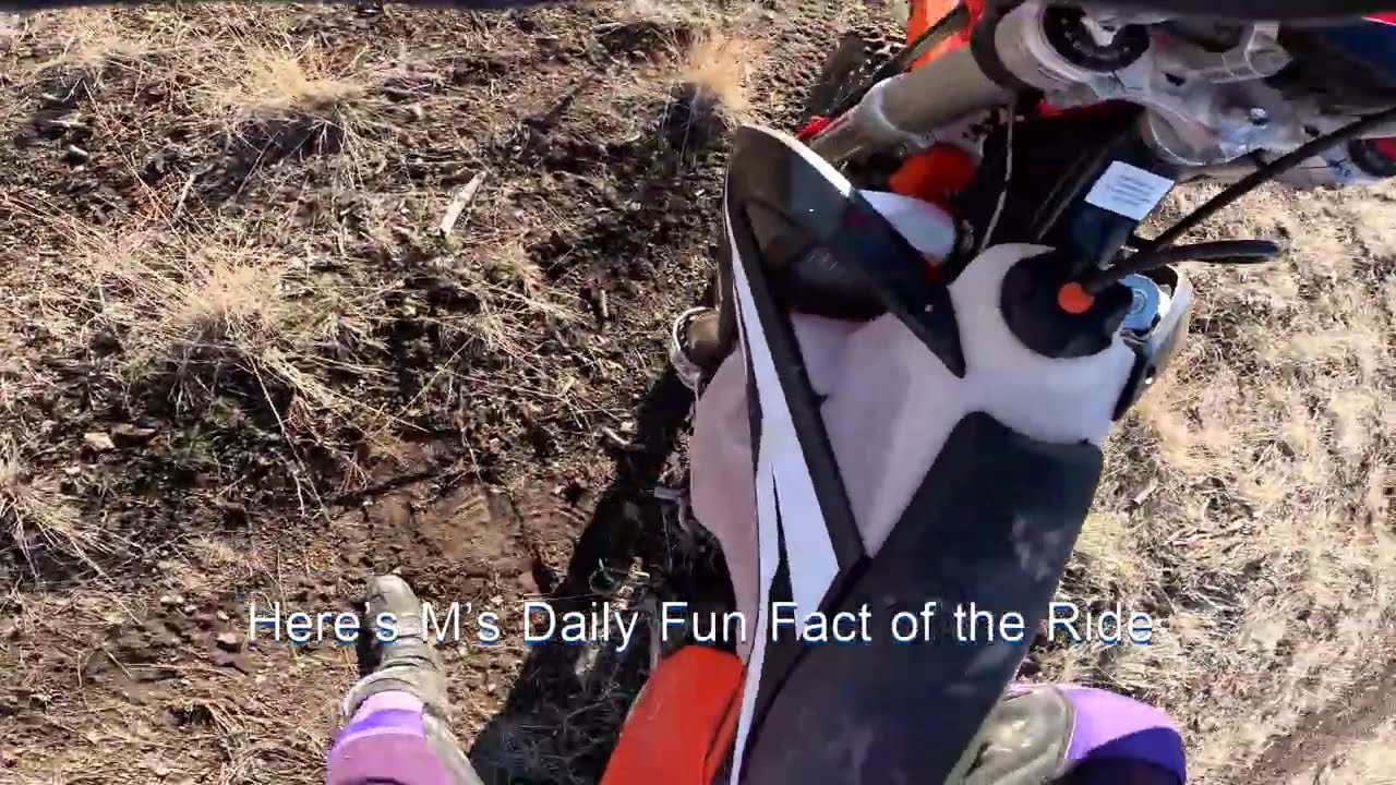 First ride on my new KTM 250 xcw!