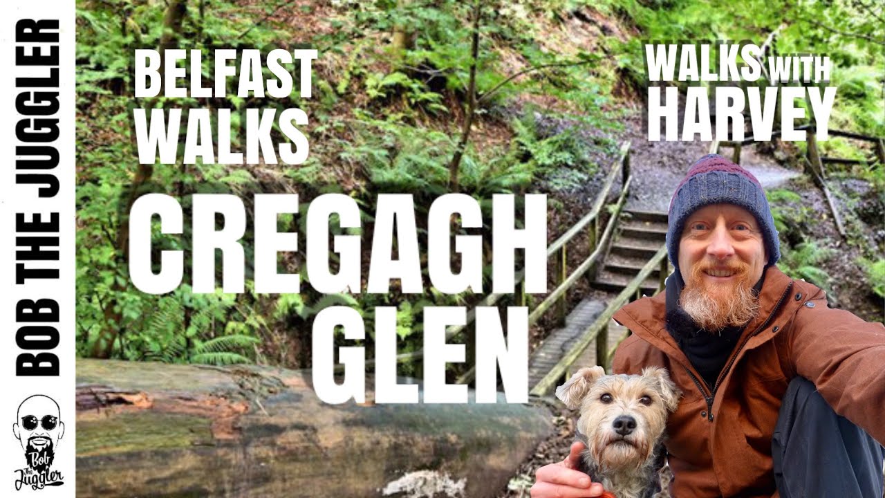 Walks with Harvey - Cregagh Glen, Belfast Walks