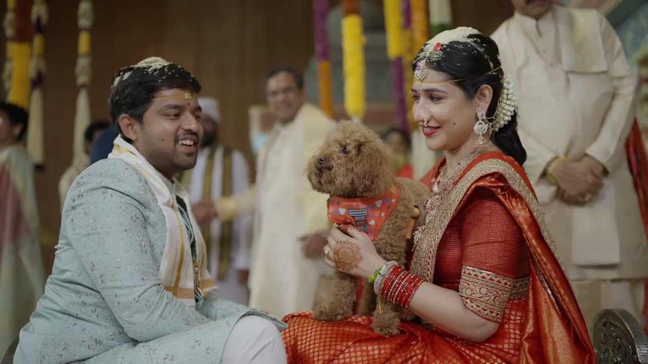 Kaushik & Vineetha  /  Wedding