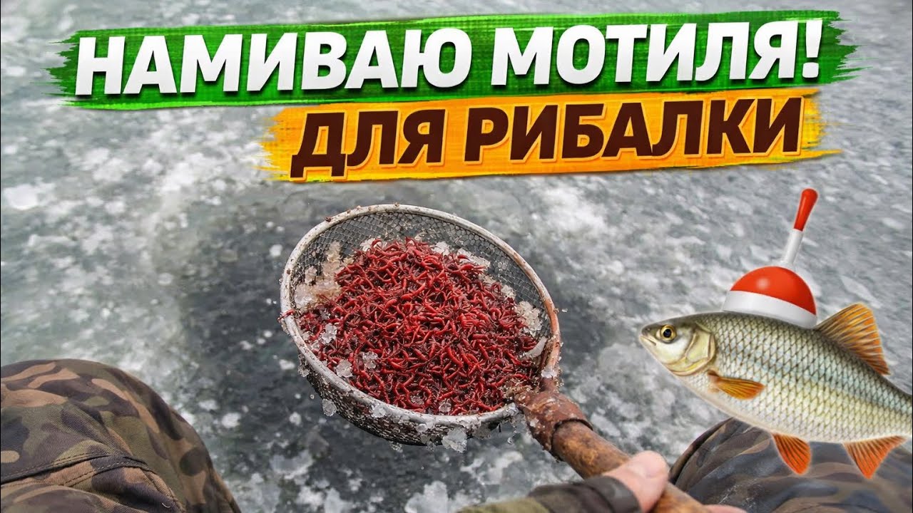Мотиль PRO | Намив для рибалки🎣