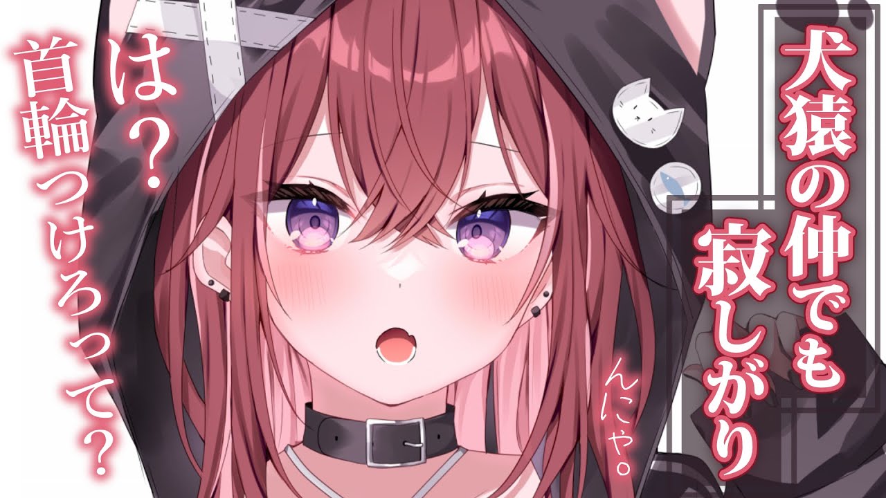 【ツンデレ甘々】今日は素直になれないこいつを泊める。だから首輪と猫耳パーカー着ろよ。～犬猿の仲でも寂しがり～【KU100/シチュボ/バイノーラル】