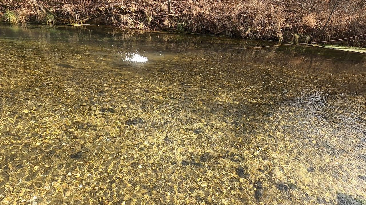 December fly fishing at Montauk State Park