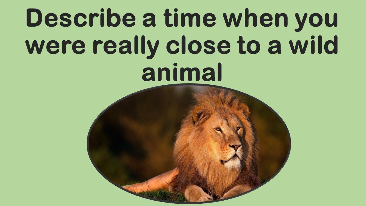Describe a time when you were really close to a wild animal May to August 2021 IELTS Speaking