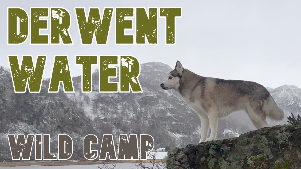 Derwent Water, Hot Tent Stove Camping and a Snowy Morning with a HUSKY
