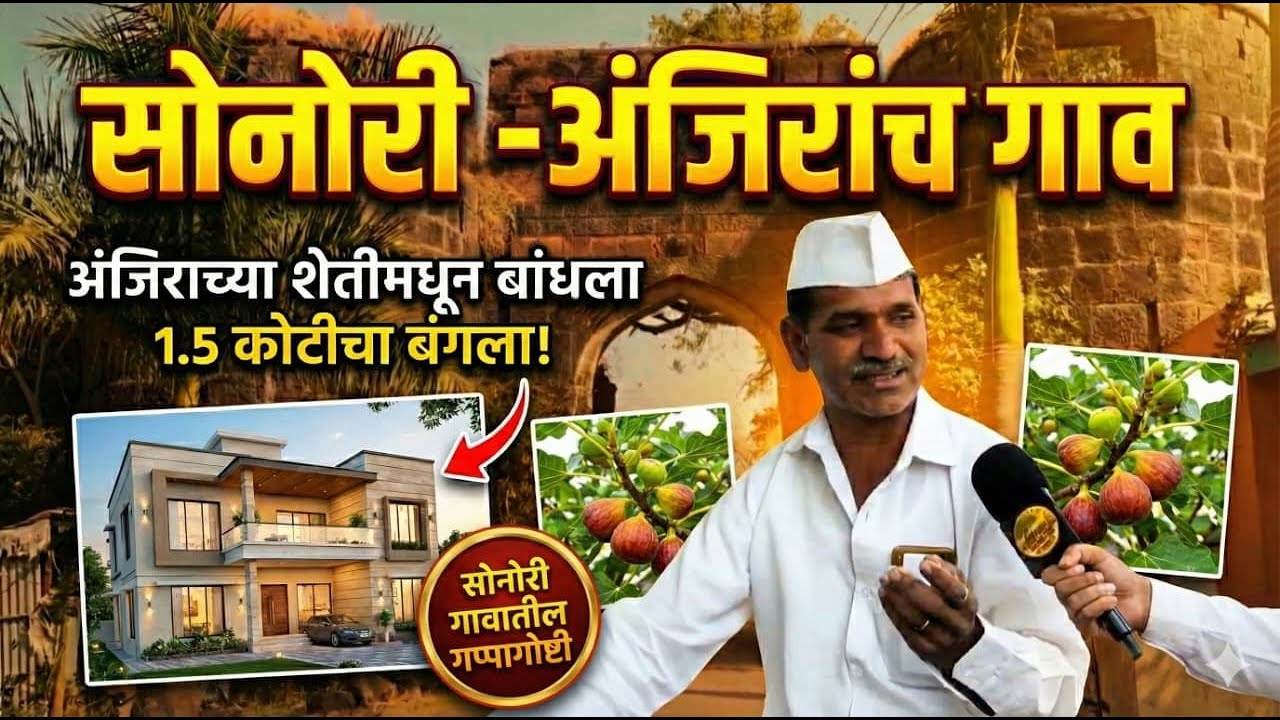 अंजीर शेतीने बदललं नशीब! | सोनोरी गावातील  खास सफर (पानसेवाडा – मल्हारगड) #farming #villagelife