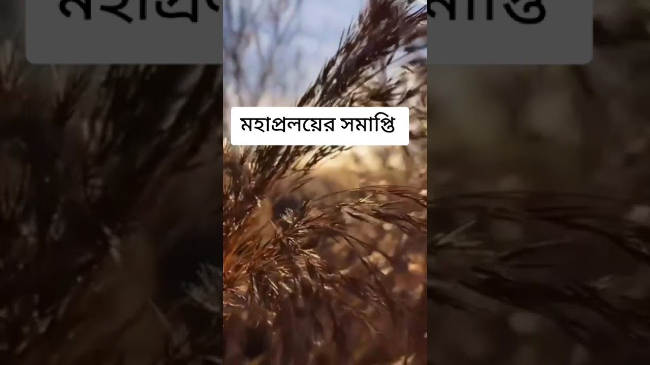 মহাপ্রলয়ের সমাপ্তি উপন্যাস পর্ব ১ 🧿❤️❤️🧿 দেখতে চ্যালেনটিকে সাবস্ক্রাইব করুন ❤️❤️❤️ #foryou #viral #🥰