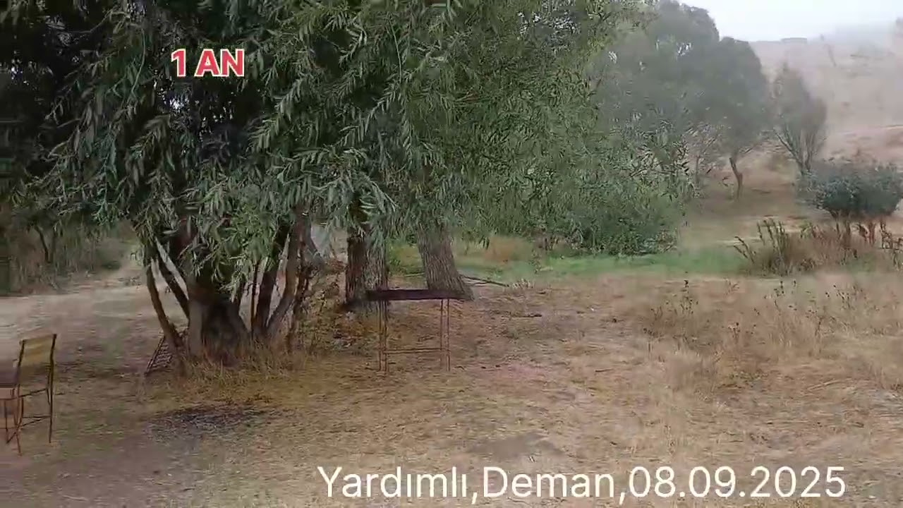 Yardımlı Şıxlar1AN,Deman kəndi