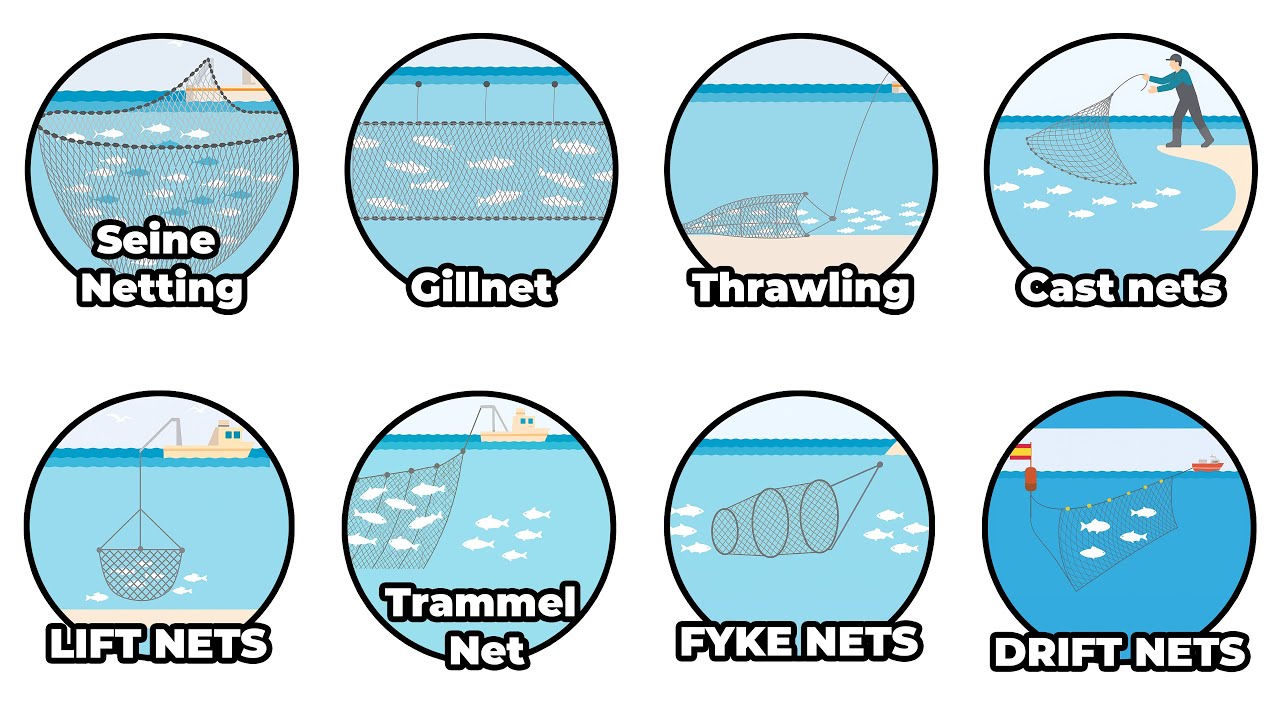 Every Commercial Fishing Net Explained