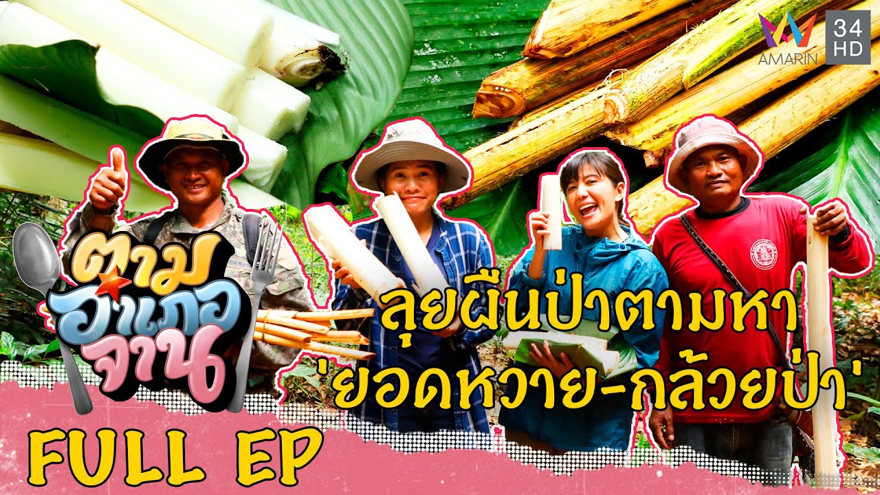 ตามหาวัตถุดิบจากผืนป่า 'ยอดหวาย-กล้วยป่า' จ.น่าน | ตามอำเภอจาน | 10 ธ.ค.65 Full EP