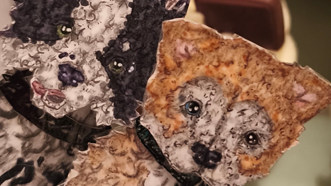 _ Julias dog's _ в прямом эфире! Болтаем, отвечаю на ваши вопросики, передаю приветики.🫶🏻