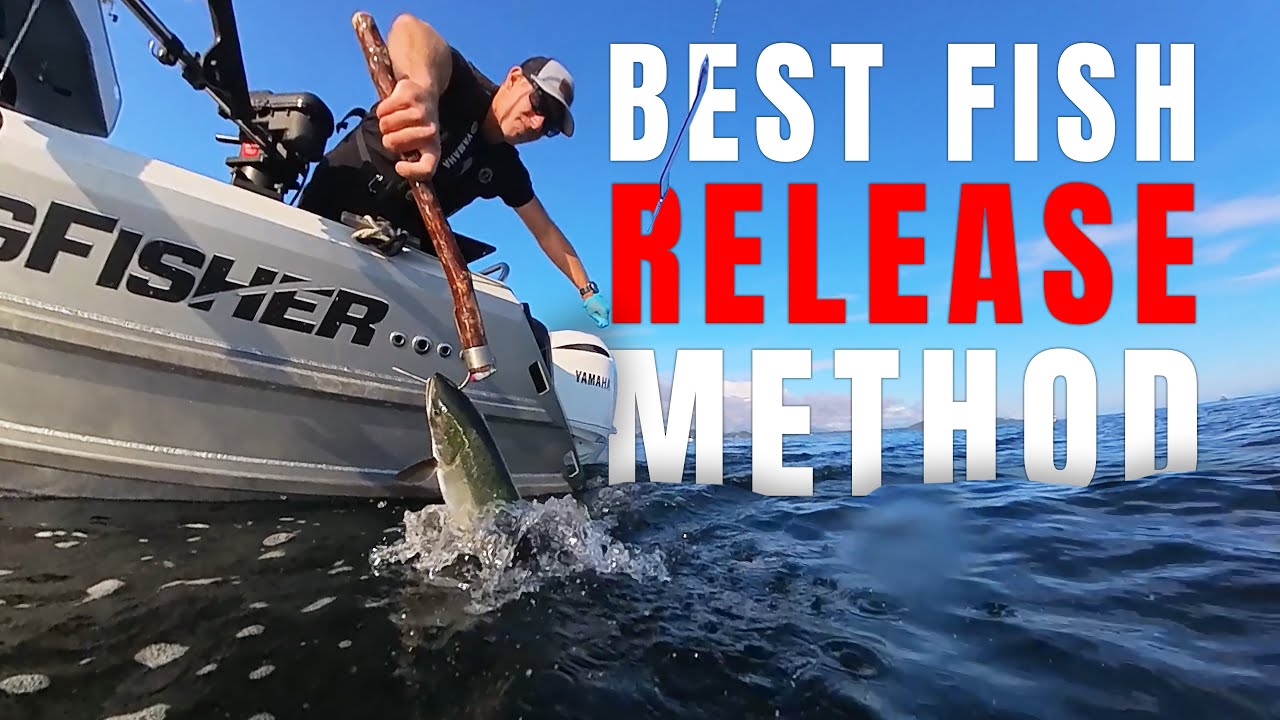 The Scientifically PROVEN Best Way To Release Fish