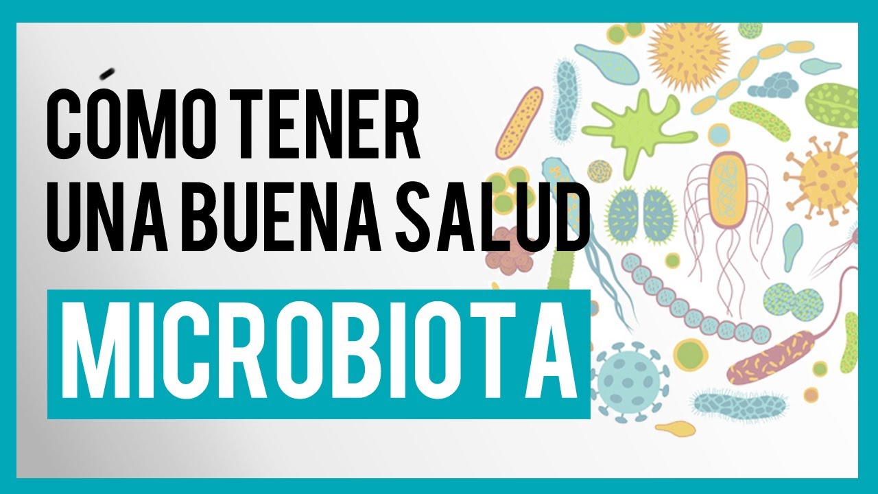 🔴 NUTRICIÓN y MICROBIOTA   Conoce las claves para tener una buena salud  Dra  LOLA de la PUERTA