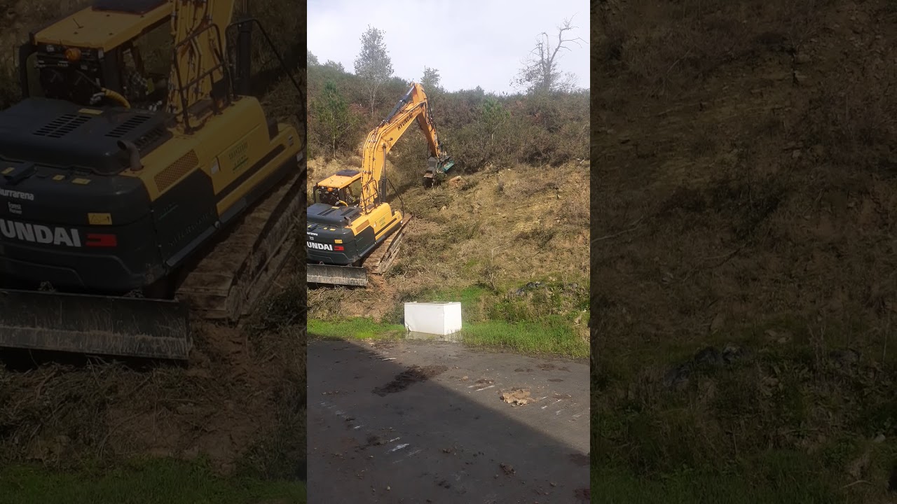 desbrozadora forestal satur gomez arantzari