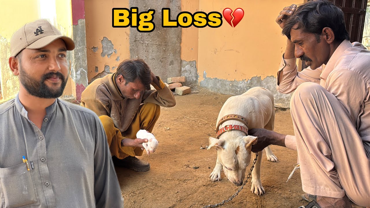 Ek ek karke sab chale gaye | Gulabo’s Heartbreaking Loss