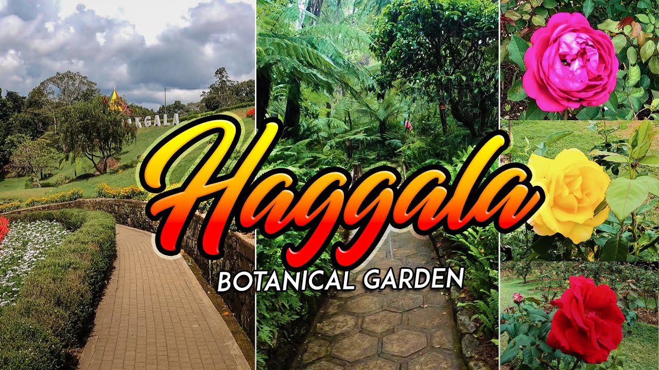 හක්ගල උද්භිත උයන - Hakgala Botanical Garden