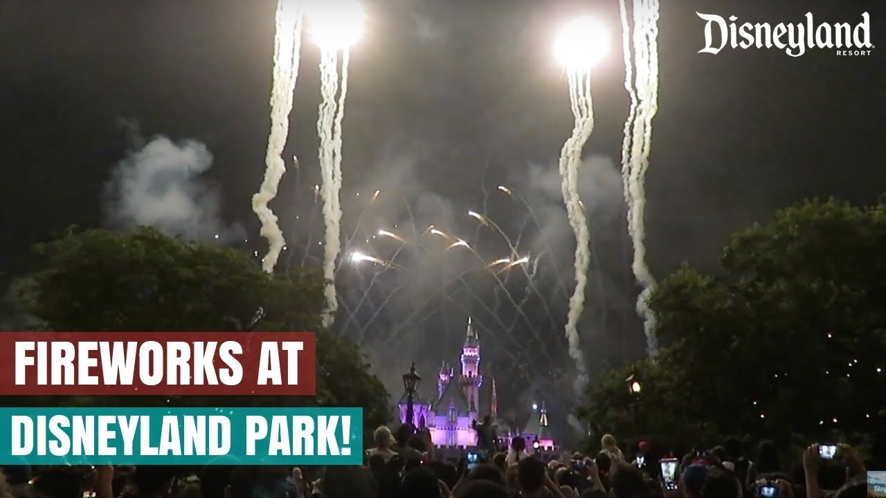 Remember...Dreams Come True Fireworks Spectacular, Space Mountain and a goodbye to Disneyland!