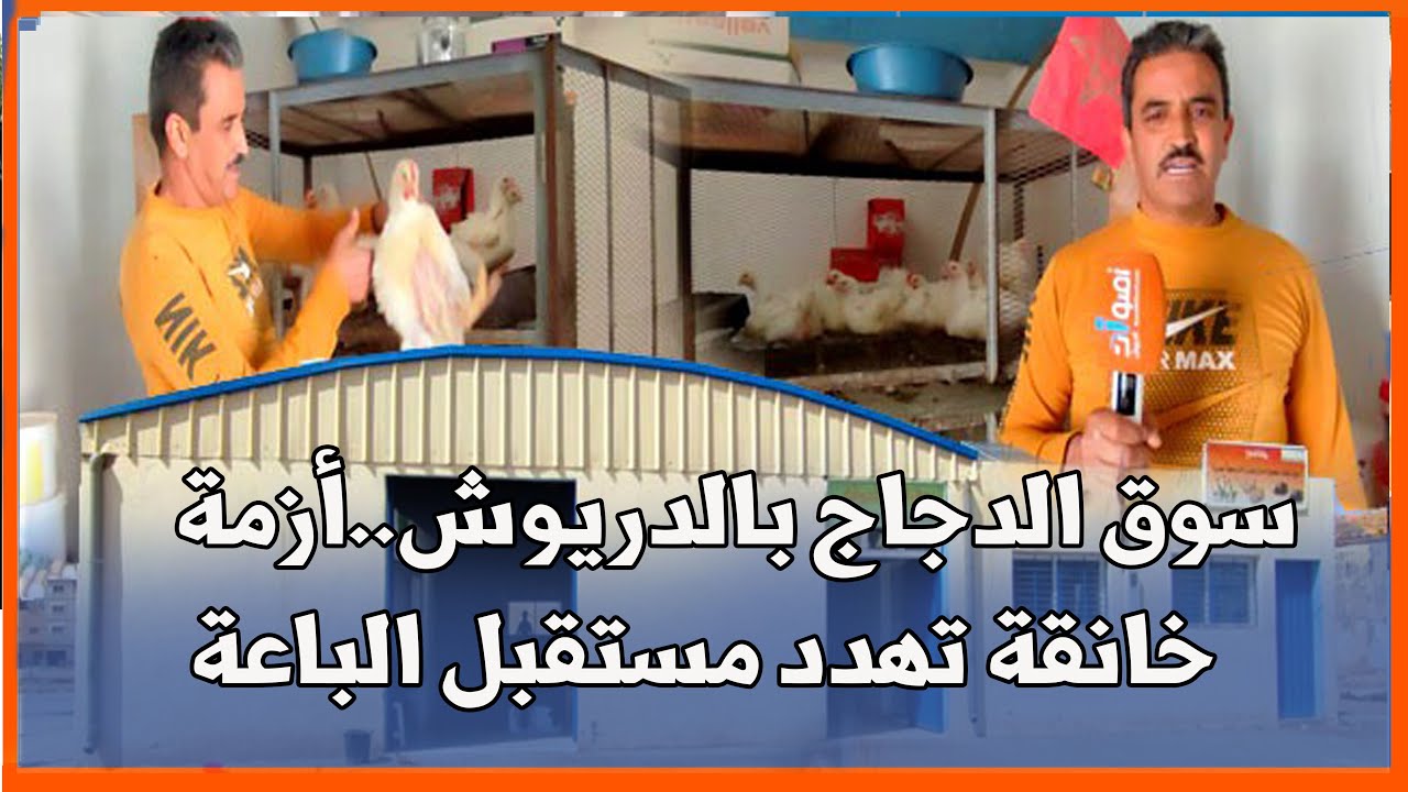سوق الدجاج بالدريوش..أزمة خانقة تهدد مستقبل الباعة